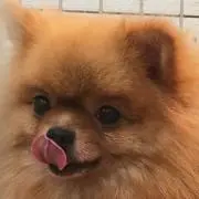 みー
