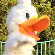 はくさいの画像