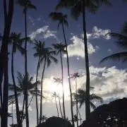 メーチャンの画像