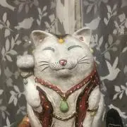 jun junの画像