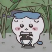 R i aの画像
