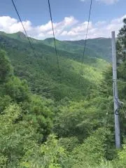 たこの画像