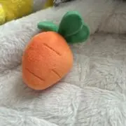 にんじん