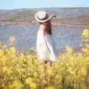 しま(*˙ᵕ˙ *) 300円お洋服ありの画像