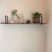 りんごももの画像