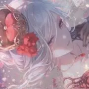 いかの画像
