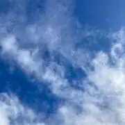 kyanの画像