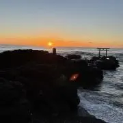 チャコ　プロフ必須