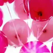aoiの画像