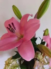 rtの画像