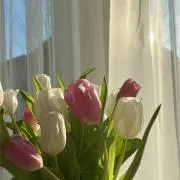BELCHIC【即購入OK】の画像
