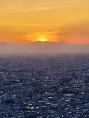 Ryo【発送日:月1回】の画像