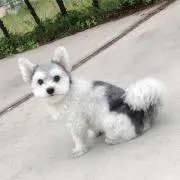 Tatannnの画像