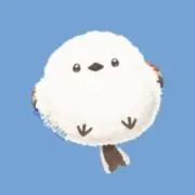 Pの画像