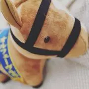 あろはの画像
