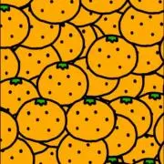 ペタンコの画像