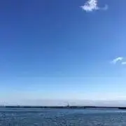 かるの画像