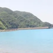 Nicoの画像
