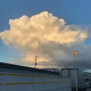ニャンコ