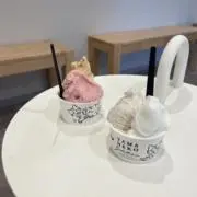 バンの画像