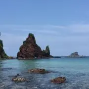 はるの画像
