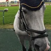リーチアウト