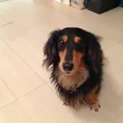 ANDY
