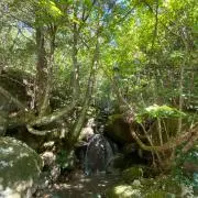 msy&&& まとめ割承ります！の画像