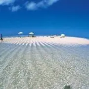 rara...