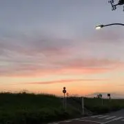 cfの画像