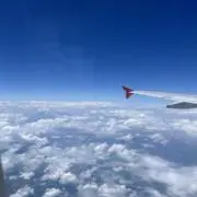まちゃみ　即購入OK・匿名配送の画像