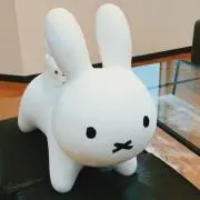 みみの画像