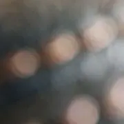 265....の画像