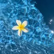 Popmart teletubbies 4種セット バラ売り可 - メルカリ