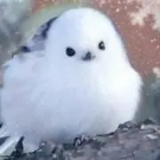 りさ ※プロフ必読
