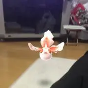 めがの画像