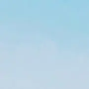 さしみの画像