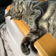 耐えられそうにねぇの画像