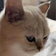 Ma7chErの画像