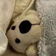 みんみんの画像