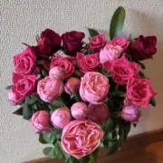 愛菜