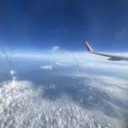 きのこ