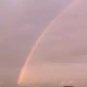 Rの画像