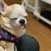 まるの画像