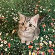 蔵の画像