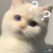 風