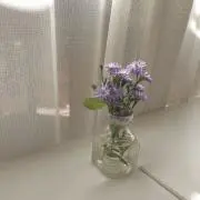 なるの画像