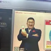 もぴこの画像