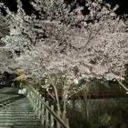 ホクホクじゃがいもの画像