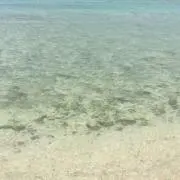 ritaの画像